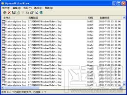 openedfilesview,openedfilesview 64位下载,openedfilesview 64位官方下载